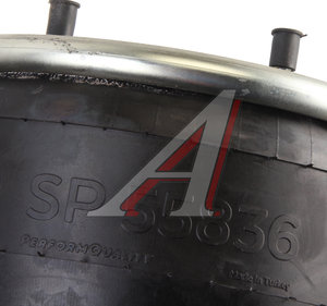 Изображение 4, SP55836-K04 Пневморессора DAF (металлический стакан) (3 шп. M10мм, 1 штуц. M16х1.5мм) SAMPA