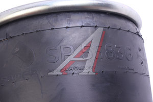 Изображение 4, SP55836-K01 Пневморессора DAF 95 (со стаканом) (3 шп. М10х15мм,  1 отв. M16х1.5мм с отбойником) SAMPA