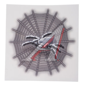 Изображение 1, 042237 Наклейка виниловая вырезанная "Паук на паутине" №3 16.5х16.5см полноцветная AUTOSTICKERS