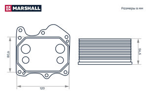 Изображение 3, M4991089 Радиатор масляный FORD Transit (06-) (2.4) MARSHALL